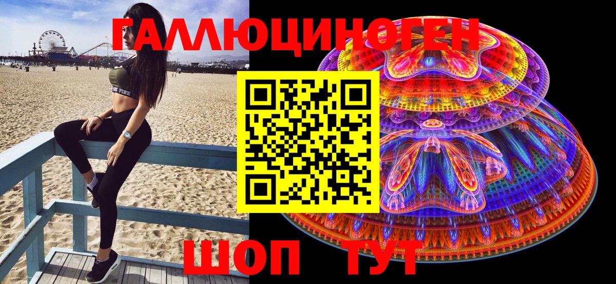 Псилоцибиновые грибы Cubensis  Вход с VPN  Псилоцибиновые грибы прущие грибы  Владикавказ 