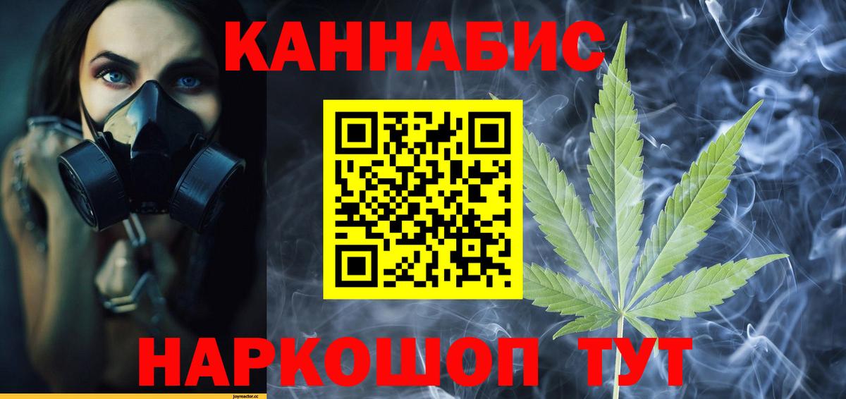 Шишки марихуана план  Вход с VPN  Владикавказ  Бошки марихуана конопля  МАРИХУАНА планчик 